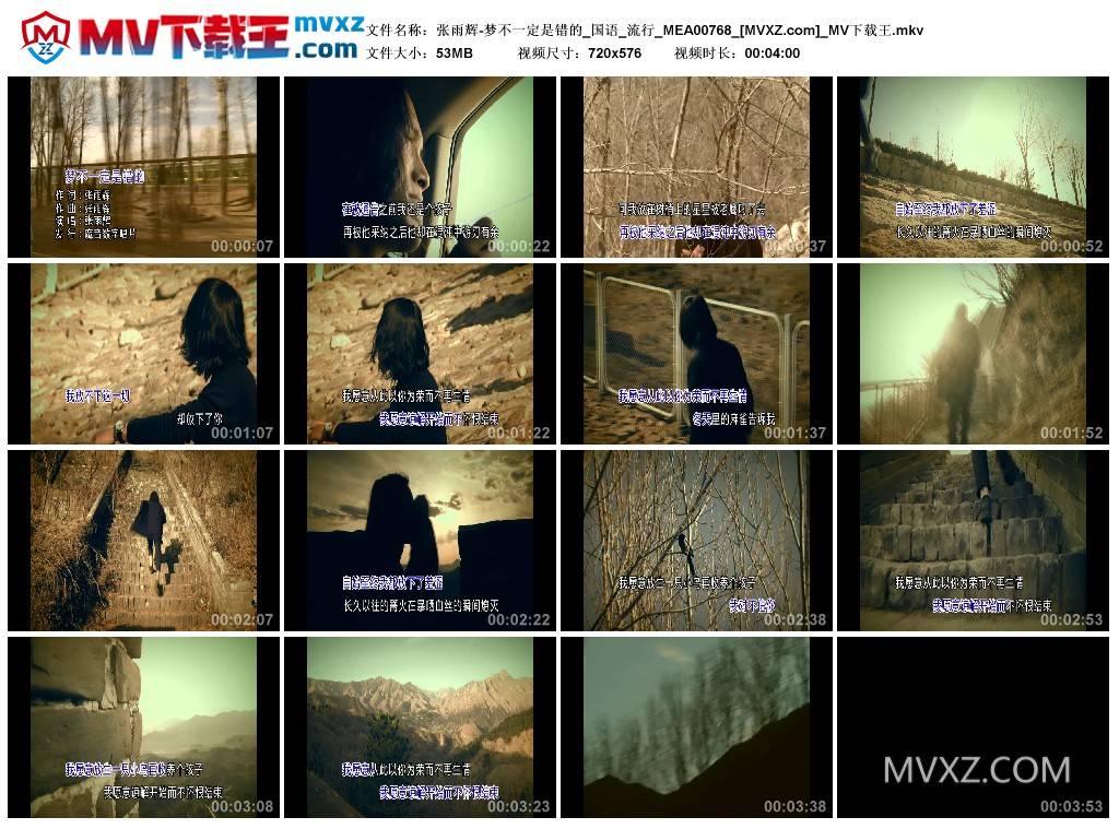 张雨辉-梦不一定是错的_国语_流行_MEA00768